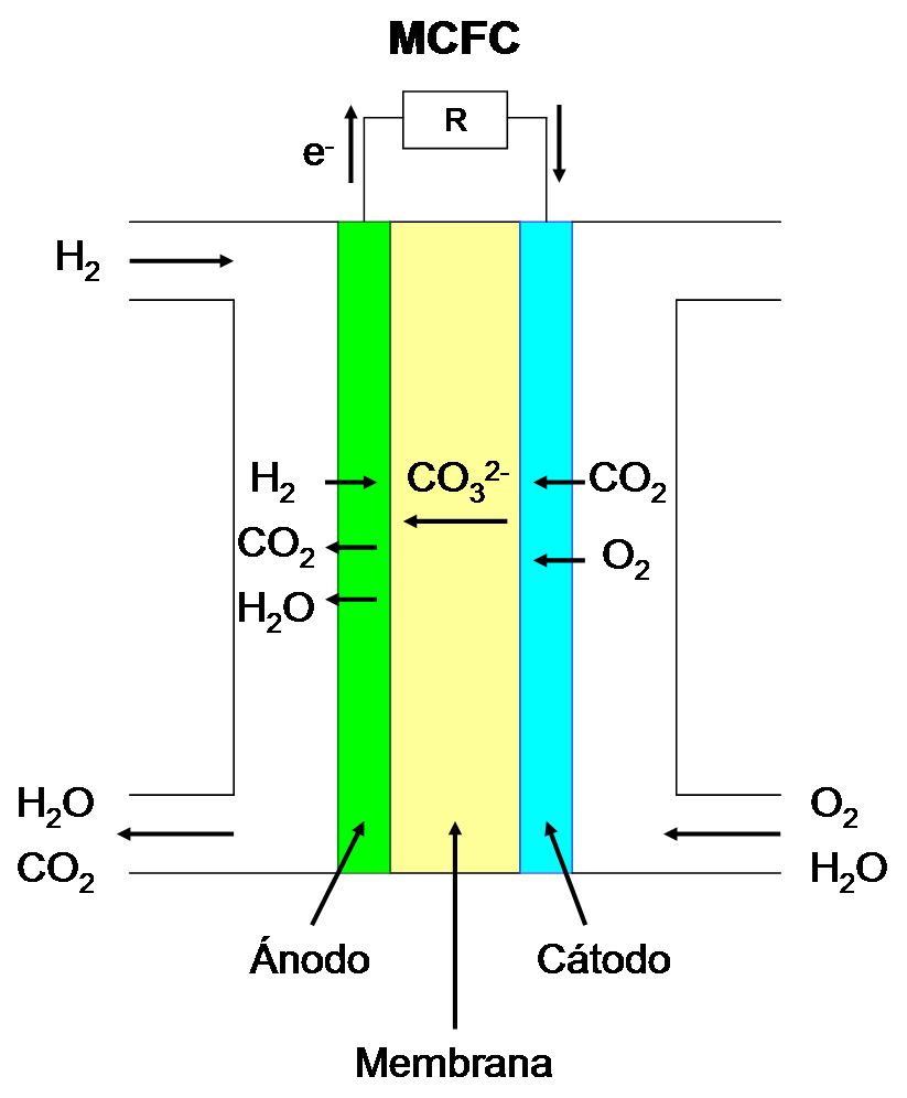 Pila de combustible de 2W Pila de combustible de hidrógeno Pila de combustible de membrana de intercambio de protones Pieza De Repuesto 